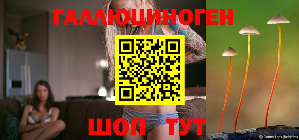 Псилоцибиновые грибы GOLDEN TEACHER Юрга